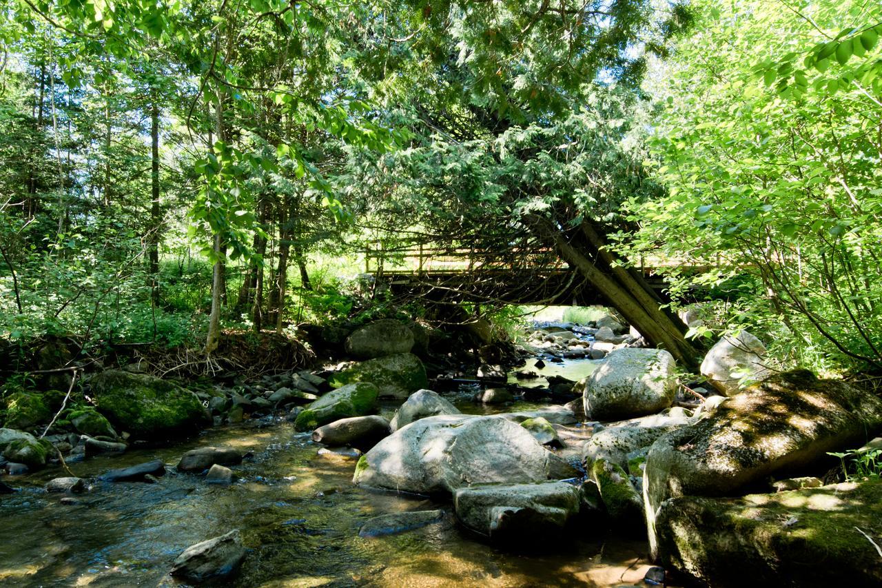 Camping Chalets Spas Pignons Rouges Saint Romain Dış mekan fotoğraf