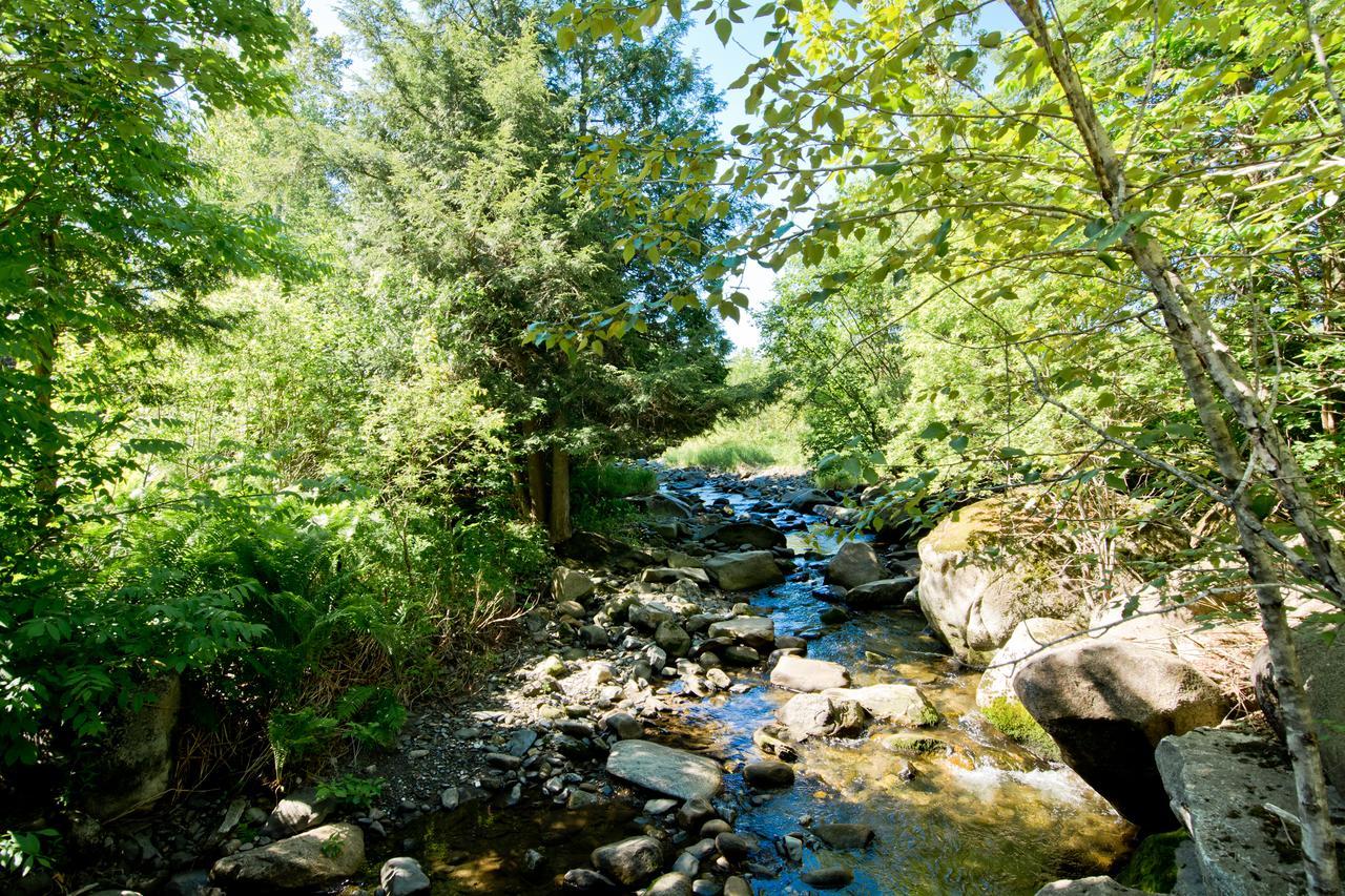 Camping Chalets Spas Pignons Rouges Saint Romain Dış mekan fotoğraf