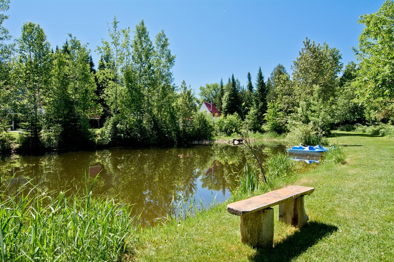 Camping Chalets Spas Pignons Rouges Saint Romain Dış mekan fotoğraf