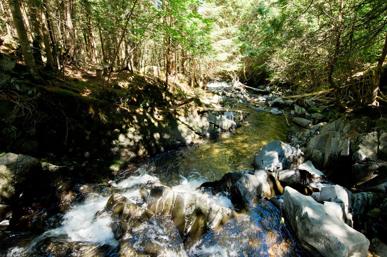 Camping Chalets Spas Pignons Rouges Saint Romain Dış mekan fotoğraf
