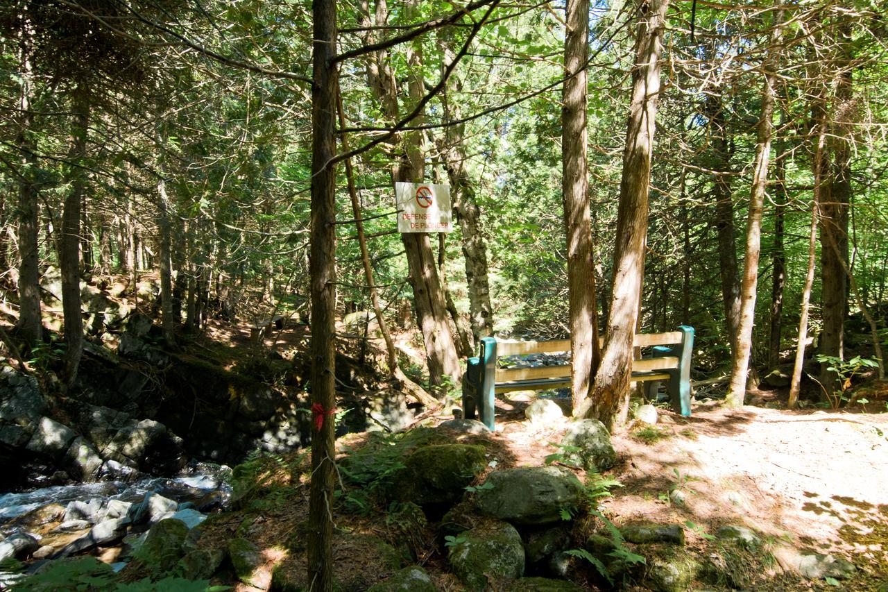 Camping Chalets Spas Pignons Rouges Saint Romain Dış mekan fotoğraf